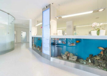 Фото клиники "Стоматология L-clinic (Эль-клиник)" - 2